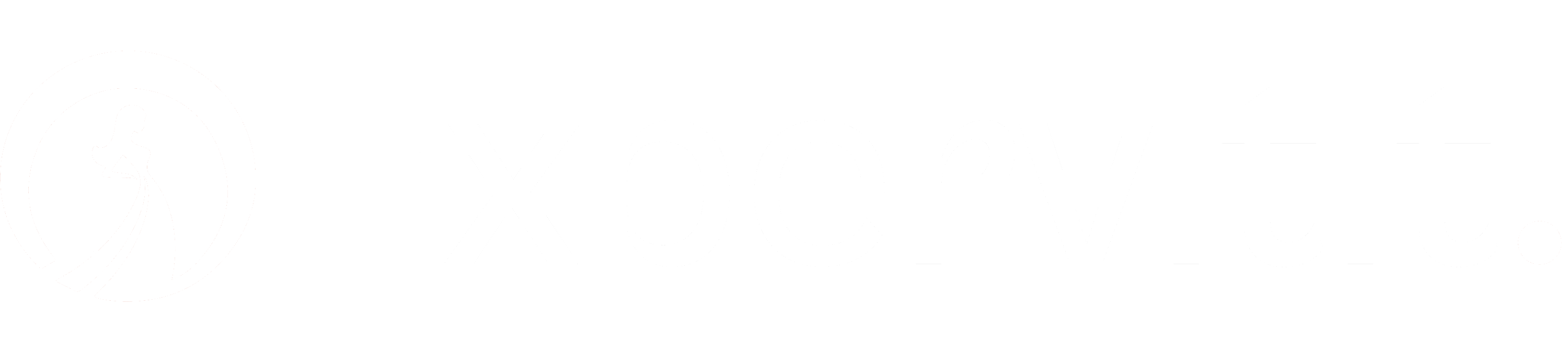 expervitit-footer-logo